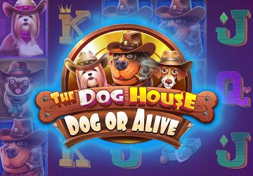Playtech - игровой автомат онлайн от Various с RTP 95.71%